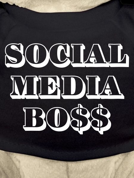 Social Media Bo$$