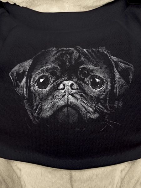 Pug
