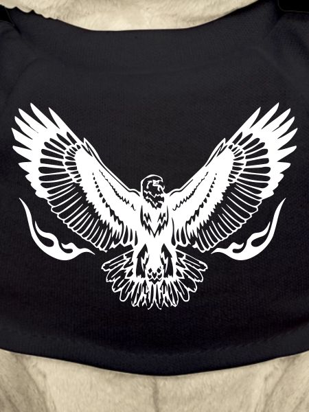 Eagle Wings