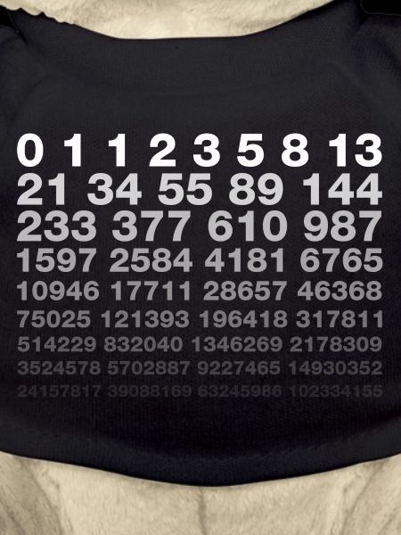 Fibonacci