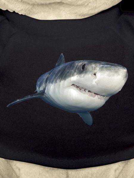 shark
