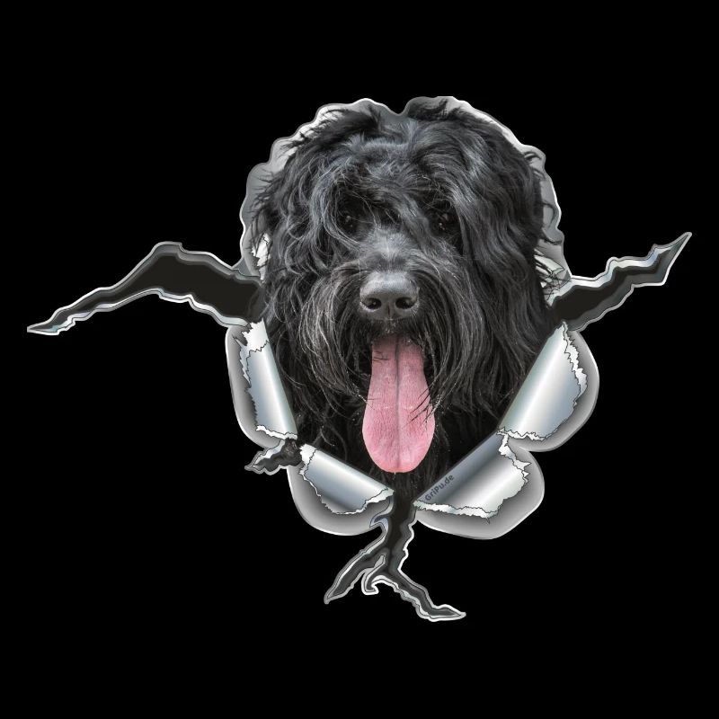 Noir russeTerrier métallique