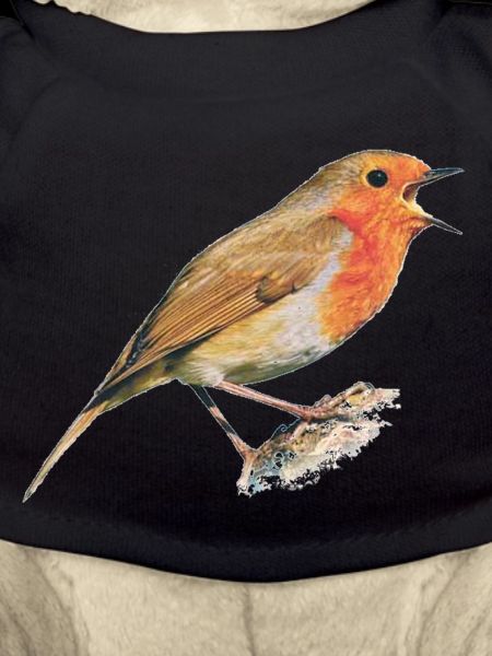 Redthroat Bird Robin