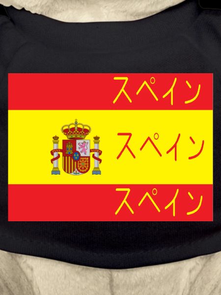 Flag of Spain Supein