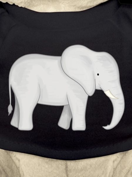 Elephant Baby