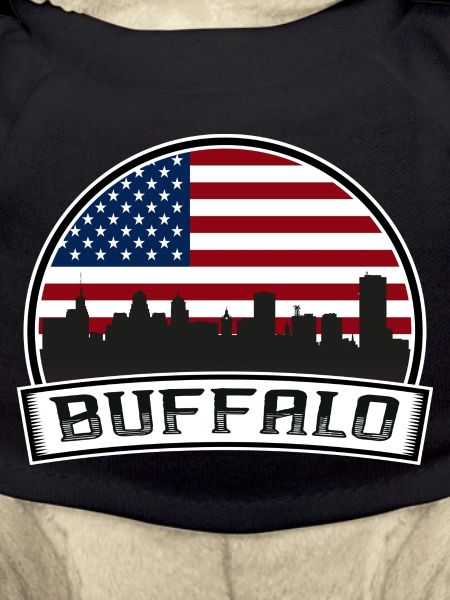Buffalo Skyline