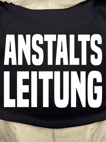 Anstalts Leitung