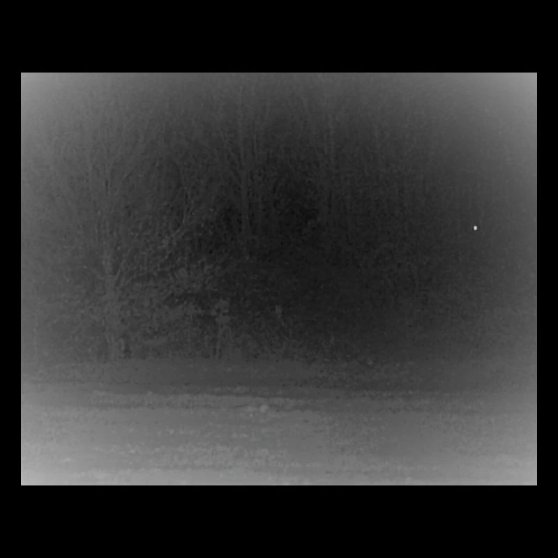 Créature effrayante dans la forêt