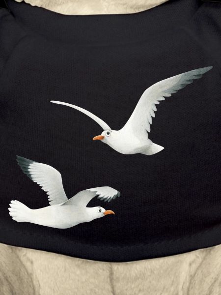 funny seagulls
