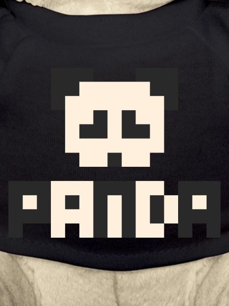 8bit Panda