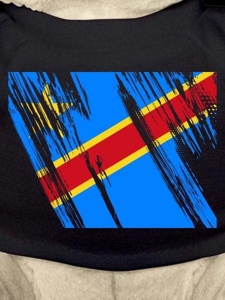Drapeau du Congo