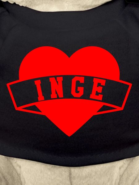 Inge Herzen