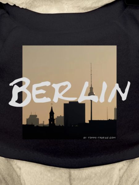 Berlin Fernsehturm Panorama