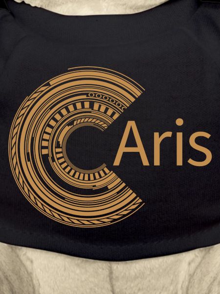 For Aris