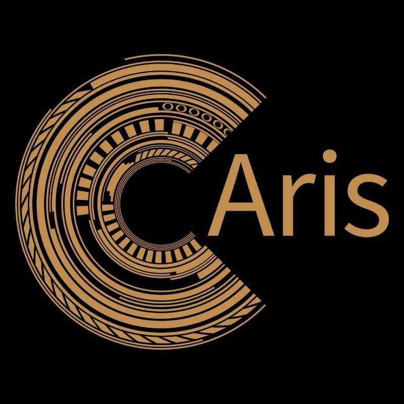 Für Aris