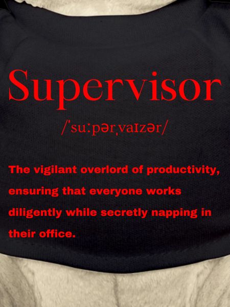 Définition du superviseur