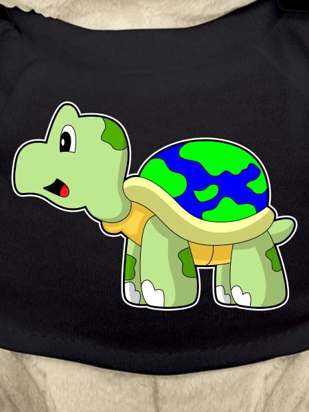 Schildkröte Erdkugel