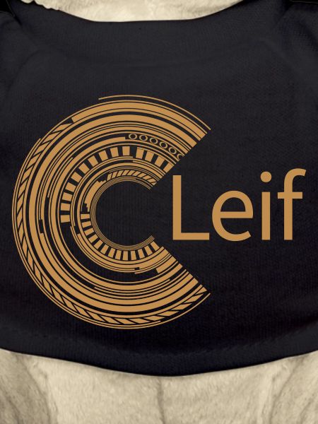 Für Leif