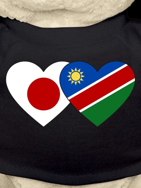 Japan Namibia Flag Heart