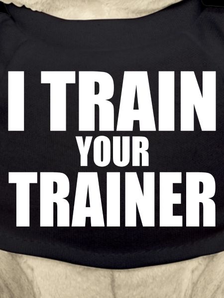 I train your trainer