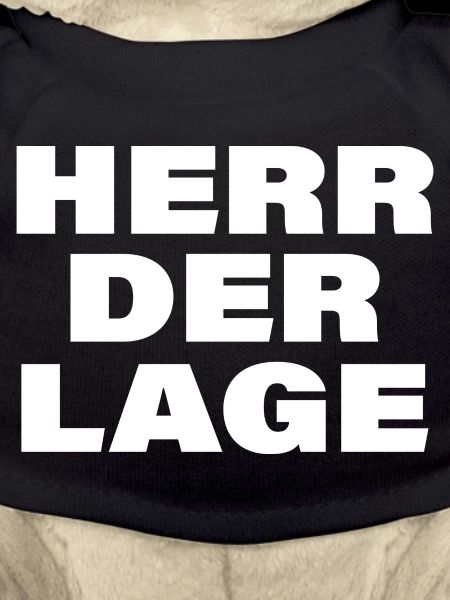 HERR DER LAGE