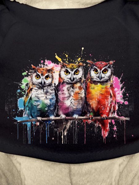 Grafitti Owls