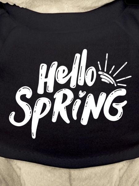 Hello Spring Season Bloom Lettering