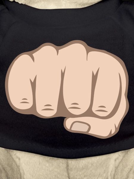 Fist