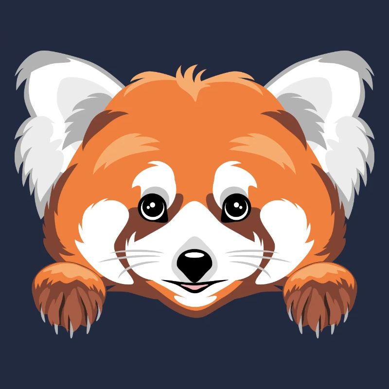 Coup d’œil mignon panda roux
