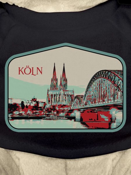 Panoramablick Köln Illustration