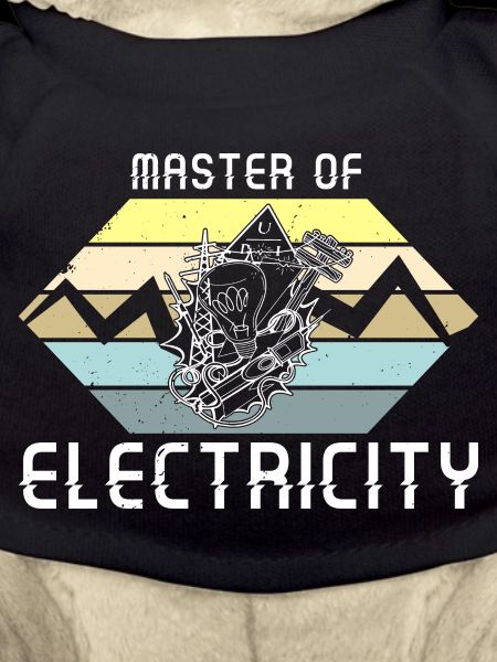Master of electricity Elektriker Lichttechniker