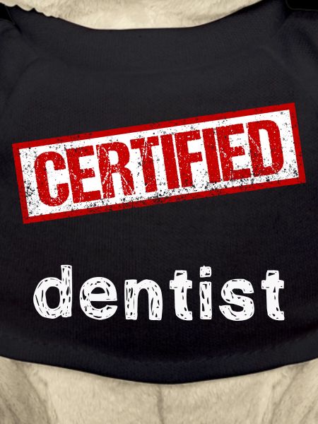 Dentist