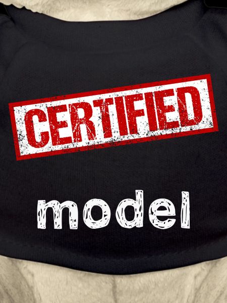 Model