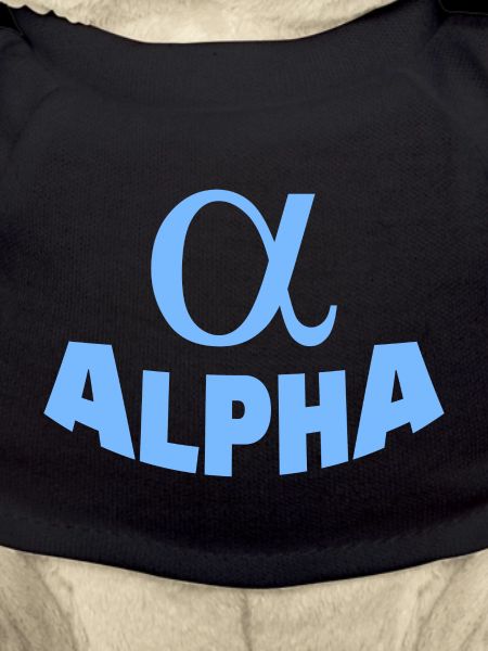 ALPHA