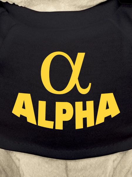 ALPHA