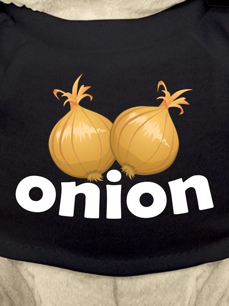 OIGNON