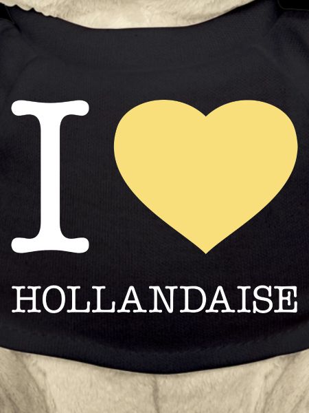 I LOVE HOLLANDAISE