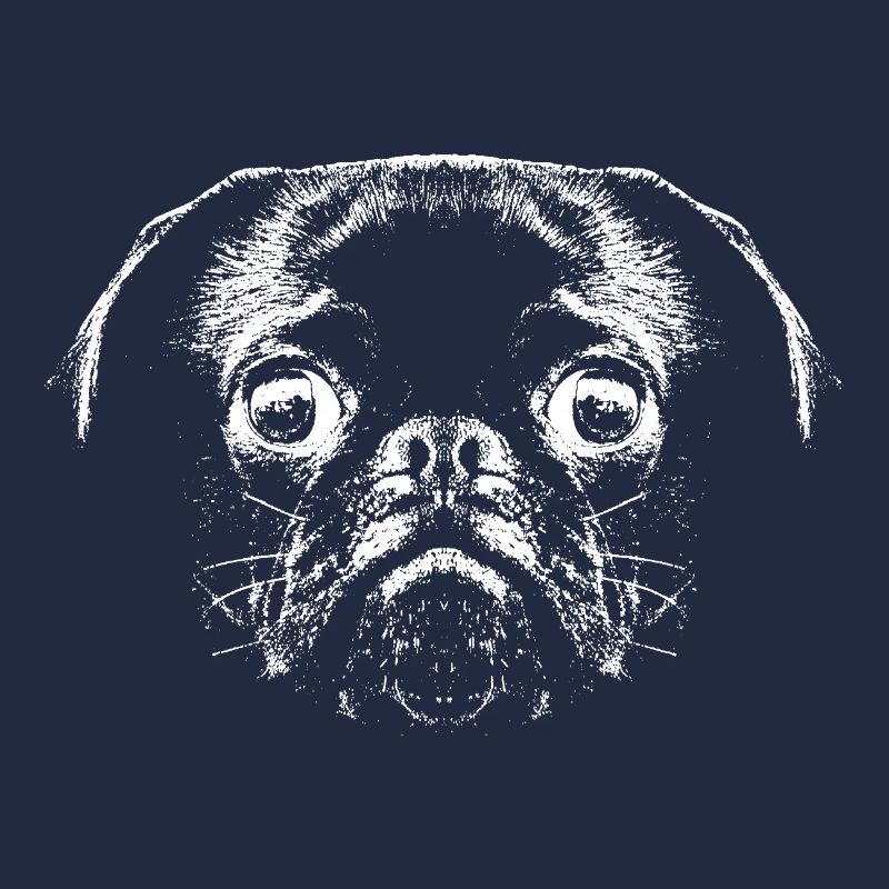 Pug / Face / Head