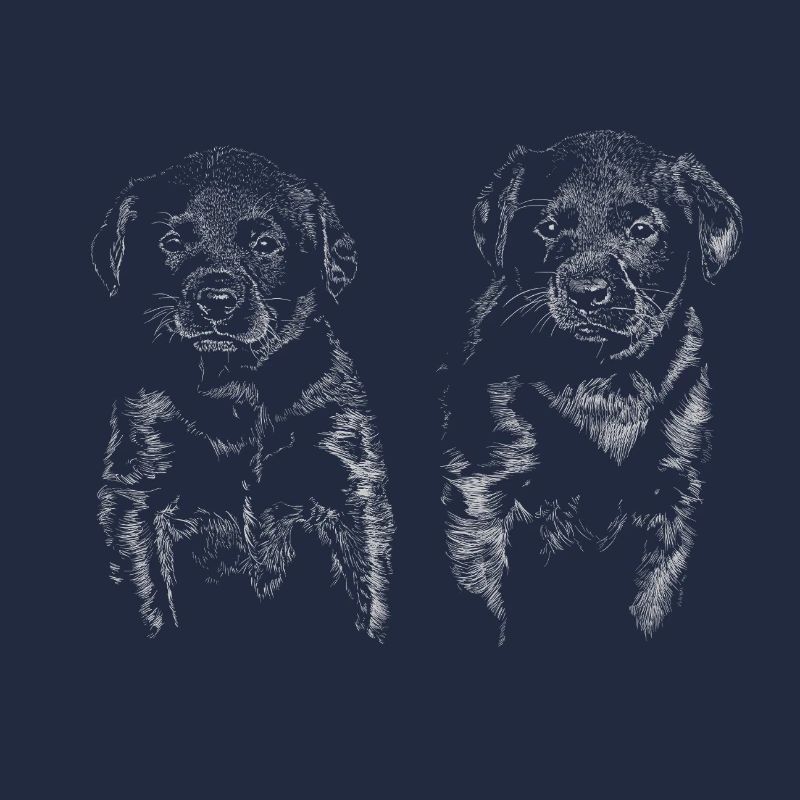 Chiots