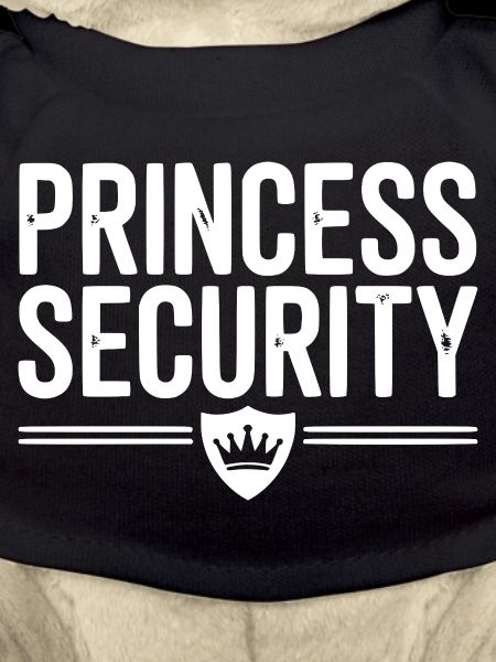 Sécurité de la princesse