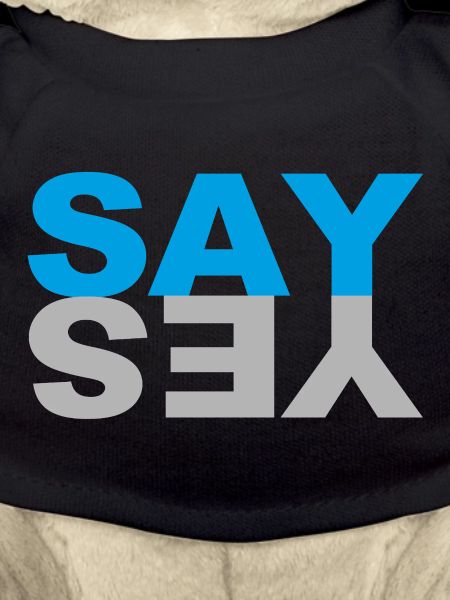 SAY YES
