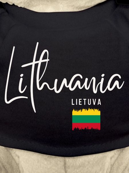 Lithuanian roots, flag of Lithuania