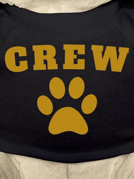 Crew Dog