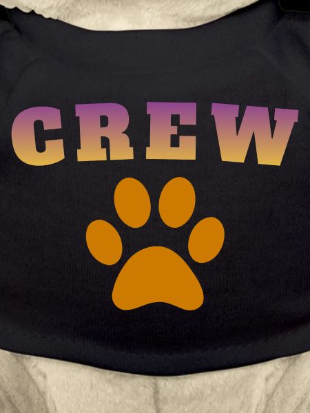Crew Dog