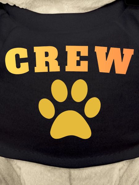 Crew Dog