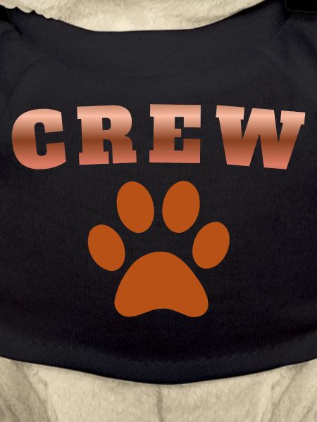 Crew Dog