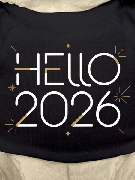 Hello 2026 Neon Sign