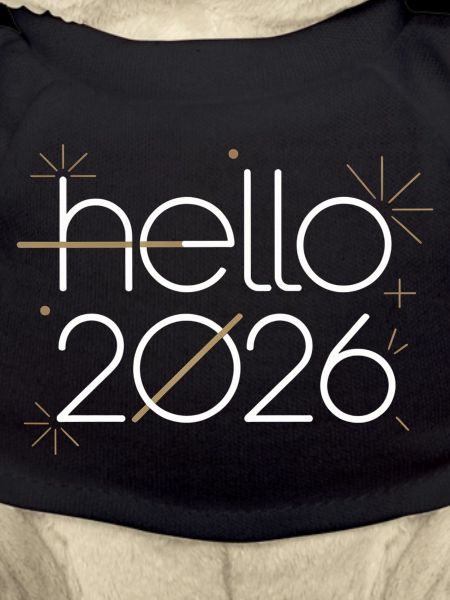 Hello 2026 Line Art Neon