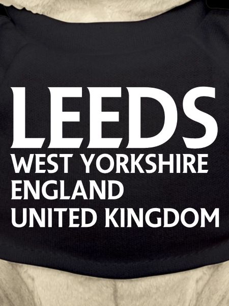 Leeds – England Liedtextdesign