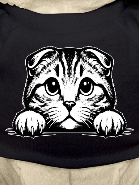 Scottish Fold-eared Cat with Paws